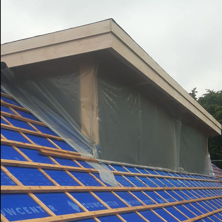 Dakkapellen en renovatie